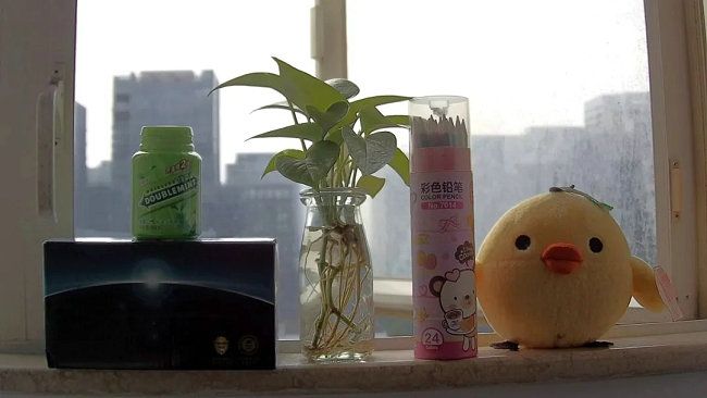 寬動態場景測試(WDR ON)